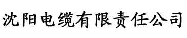 老司机亚洲精品影院电缆厂logo